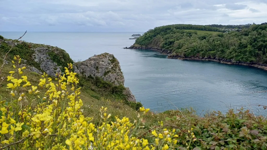 Anstey's Cove, Devon