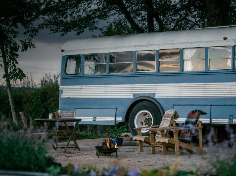Bluebird Bus