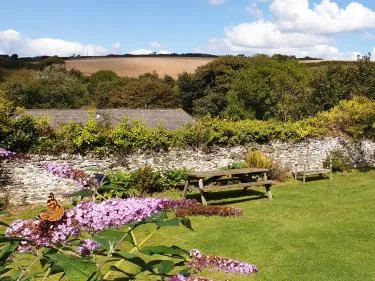 Ferndale Orchard View