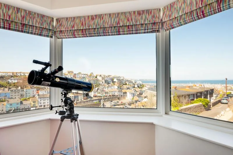 Pirates View