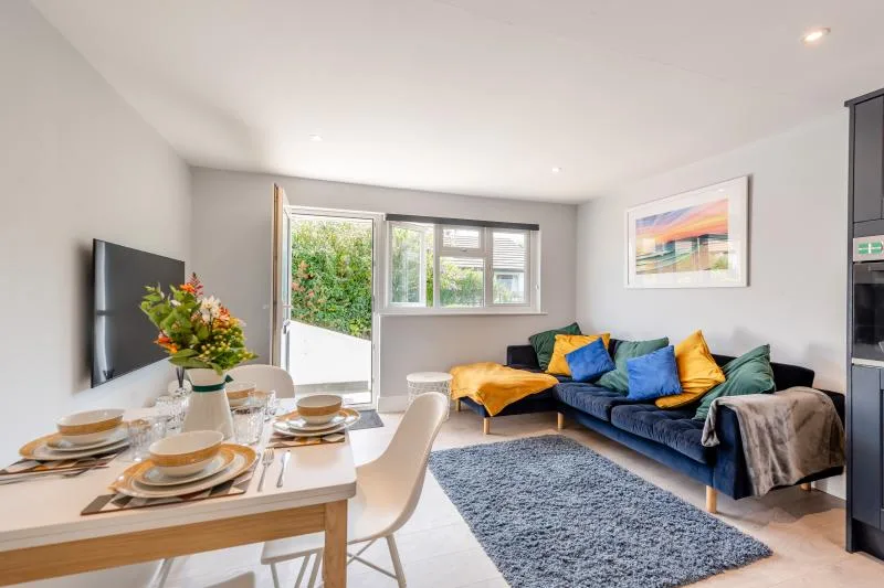 Sea Birds - Croyde
