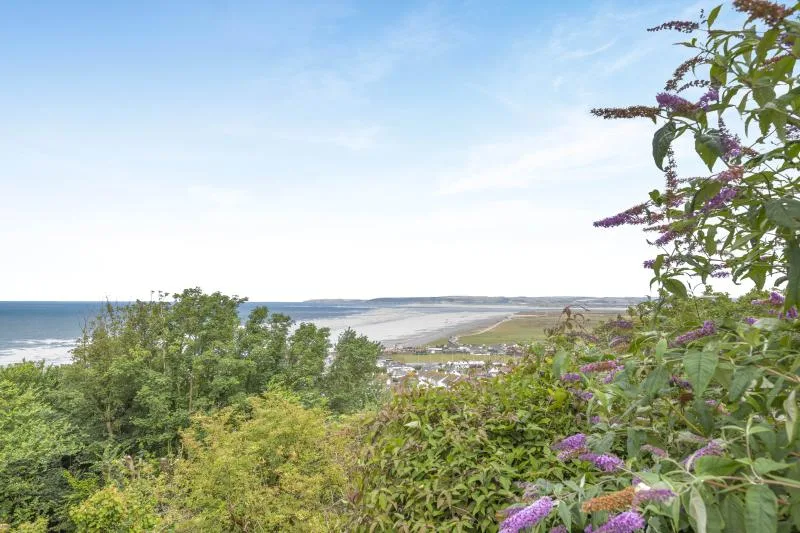 Sea Views - Westward Ho!